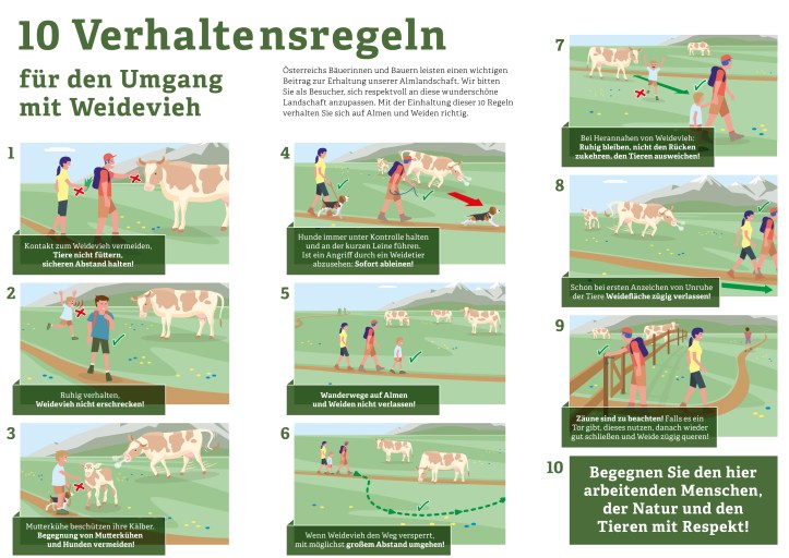 Sichere Almen_Folder_SCREEN-2